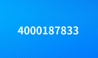 4000187833