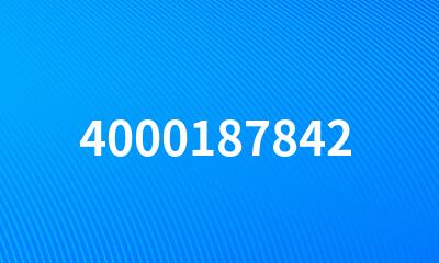 4000187842