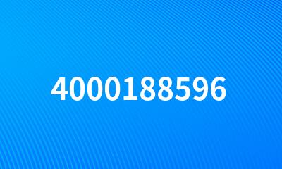 4000188596