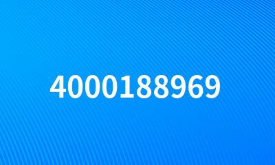 4000188969