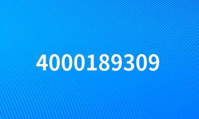 4000189309