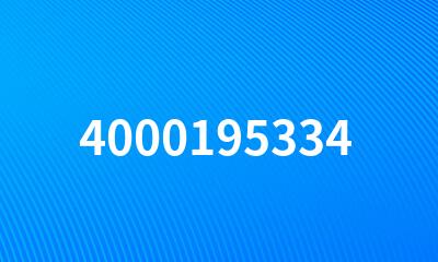 4000195334