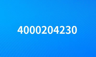 4000204230