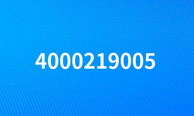 4000219005