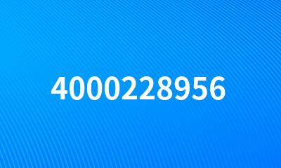 4000228956