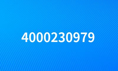 4000230979