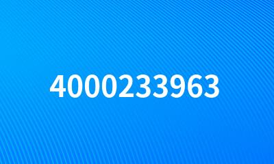 4000233963