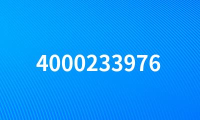 4000233976