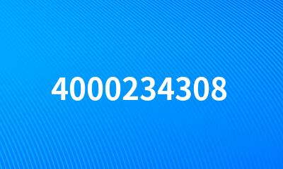 4000234308