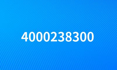 4000238300