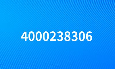 4000238306