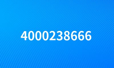 4000238666