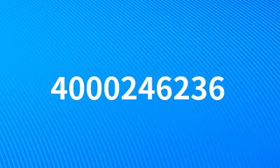 4000246236