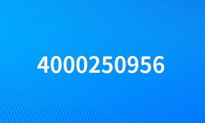 4000250956