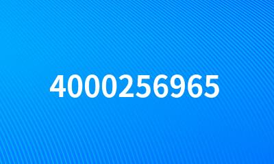 4000256965