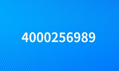 4000256989