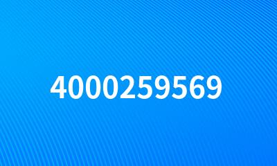 4000259569