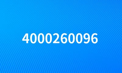 4000260096