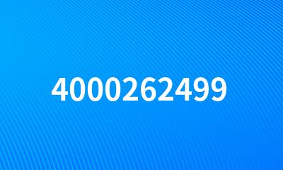 4000262499