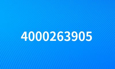 4000263905