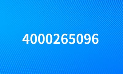 4000265096