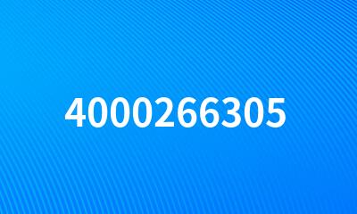 4000266305