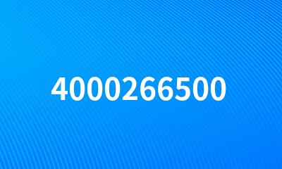 4000266500