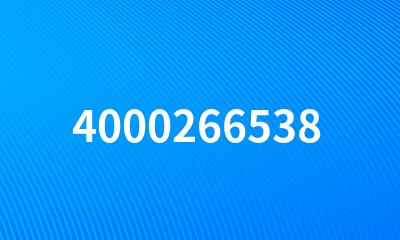 4000266538