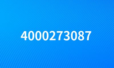 4000273087