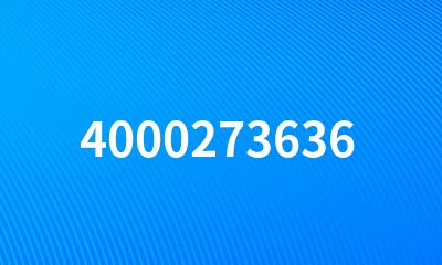 4000273636