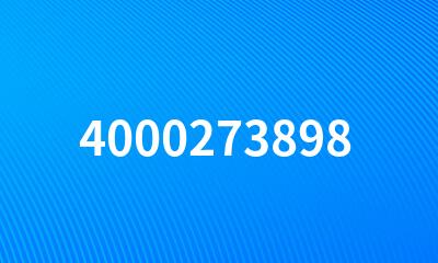 4000273898