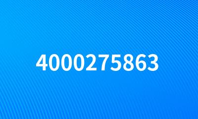 4000275863