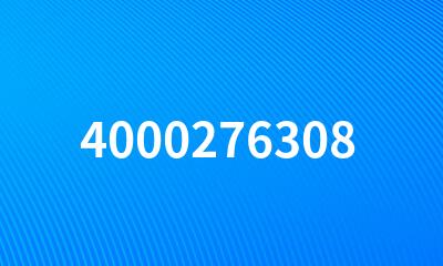 4000276308