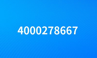 4000278667