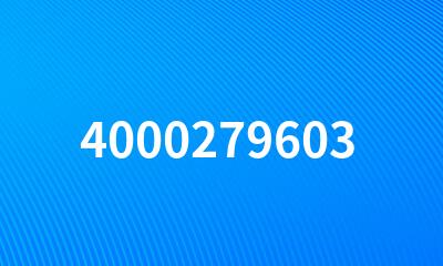 4000279603