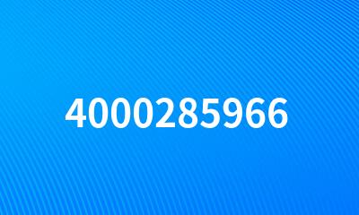 4000285966