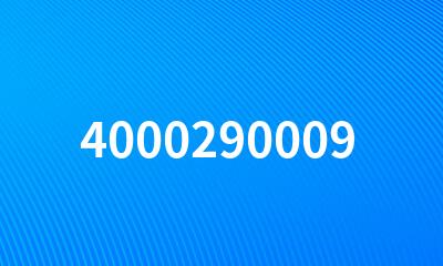 4000290009