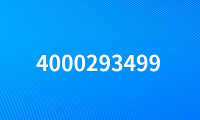 4000293499