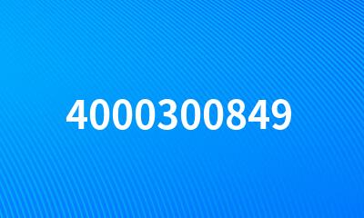 4000300849