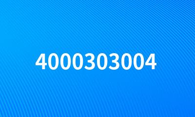 4000303004