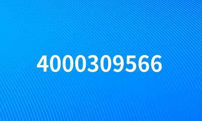 4000309566