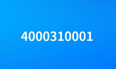 4000310001