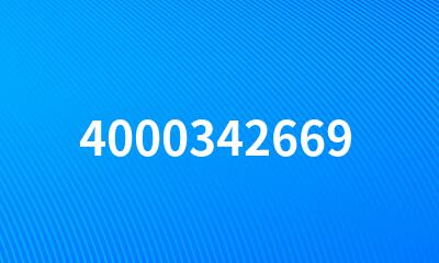 4000342669