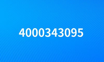 4000343095