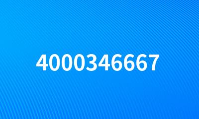 4000346667