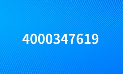 4000347619