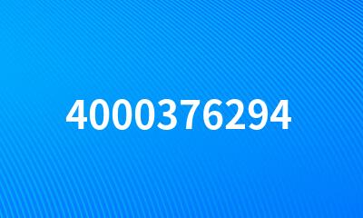 4000376294