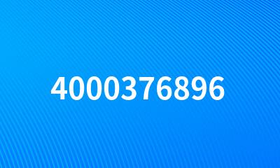 4000376896