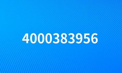 4000383956