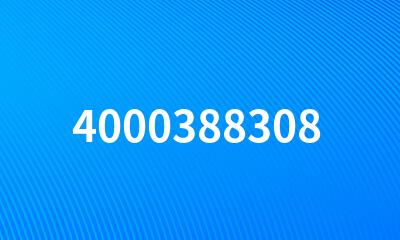 4000388308